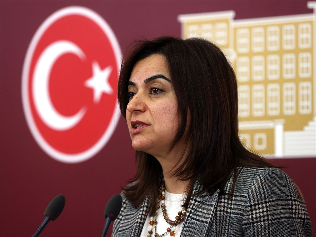 Diyarbakır-Mardin yangını, TBMM'de