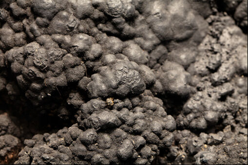 Japonya açıklarında deniz tabanında 200 milyon tonu aşkın nadir toprak metali bulundu! Japonya açıklarında deniz tabanında 200 milyon tonu aşkın nadir toprak metali bulundu! - 2. Resim