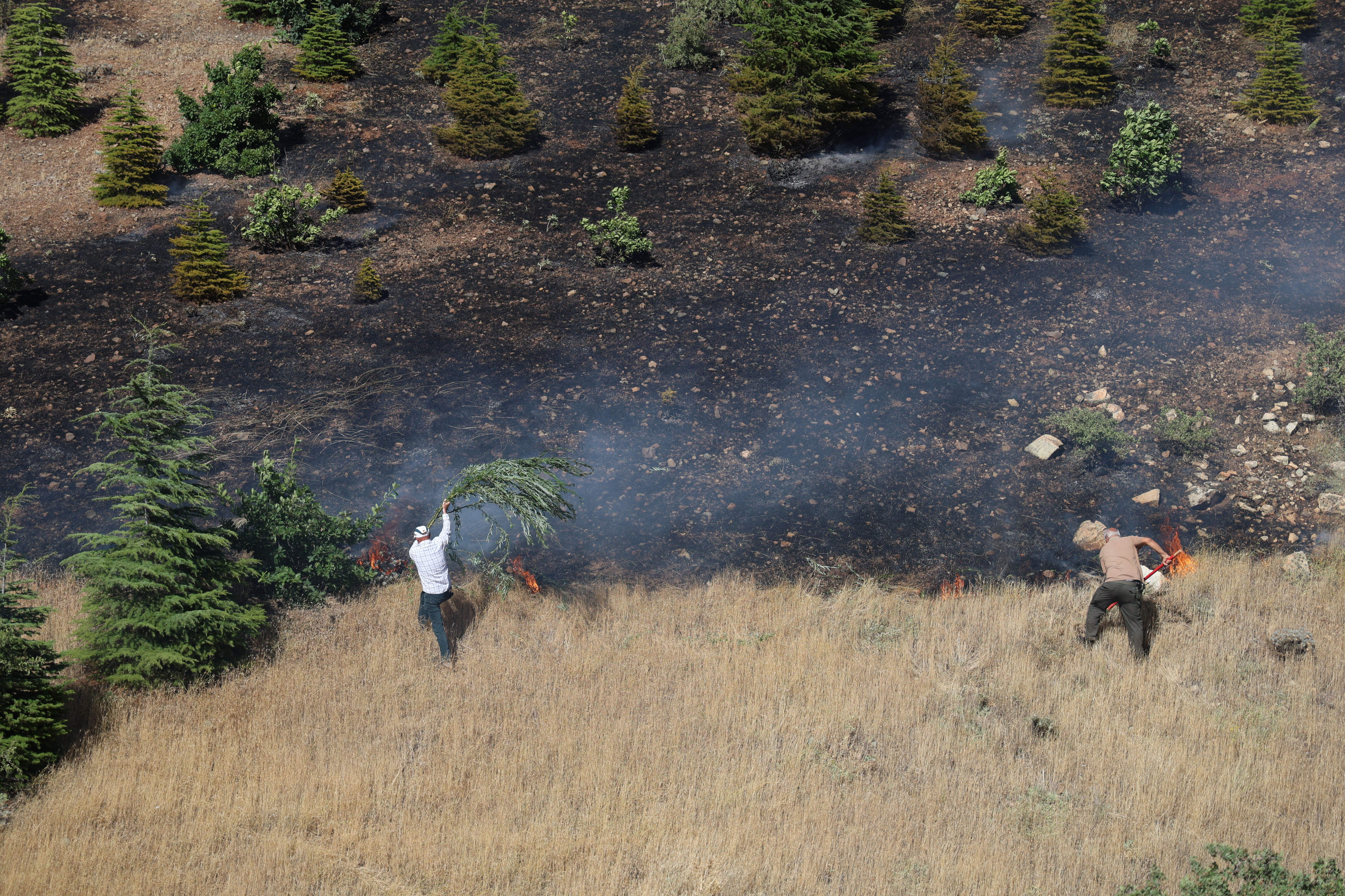 Elazığ'da ormanlık alanda yangın! Mahalle sınırına ulaştı: 4 kişiye sağlık müdahalesi - 1. Resim