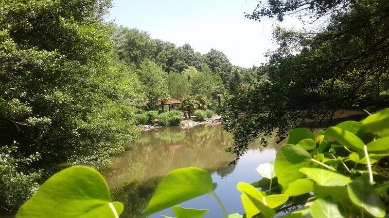 İstanbul'da ücretsiz kamp alanlarıyla hem deniz hem de orman havasını içinize çekin! Nerelere çadır kurulur? İstanbul'da ücretsiz kamp alanlarıyla hem deniz hem de orman havasını içinize çekin! Nerelere çadır kurulur? - 8. Resim