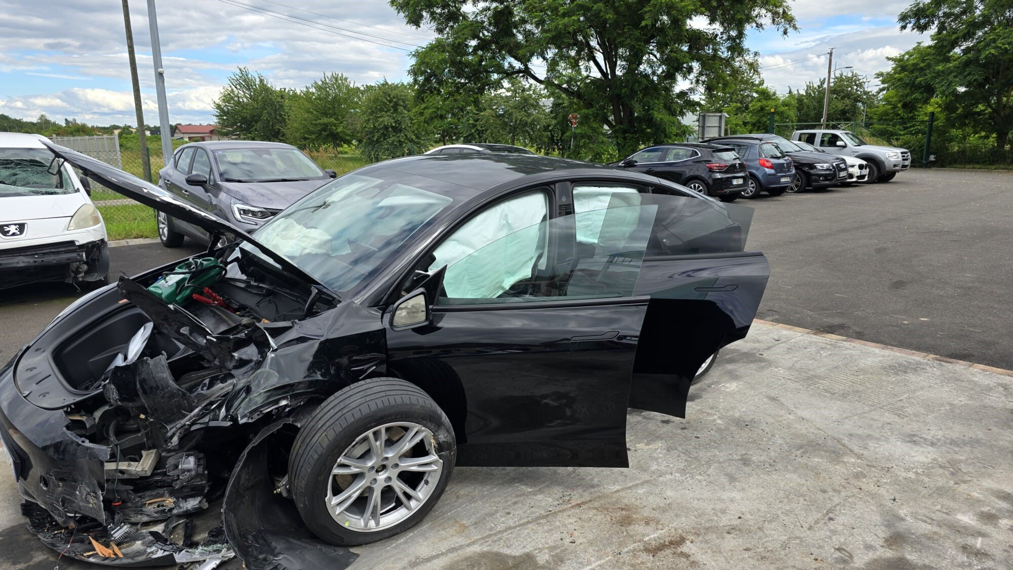 Bayram tatili zehre döndü! İzmirli avukat, Elon Musk'ın Tesla'sına dava açıyor - 1. Resim