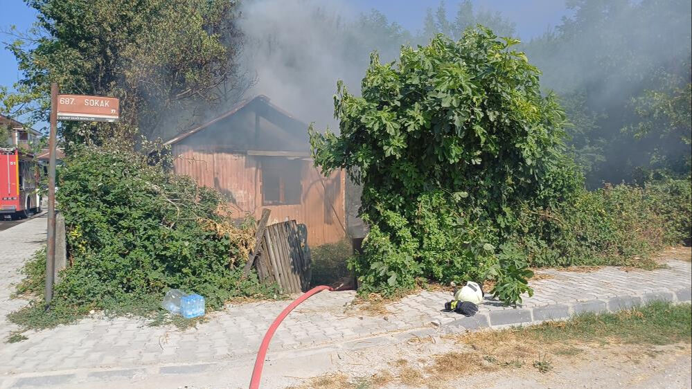Düzce'de 40 yıldır güvercin besleyen Murat Deviren barakada çıkan yangınla kahroldu - 1. Resim