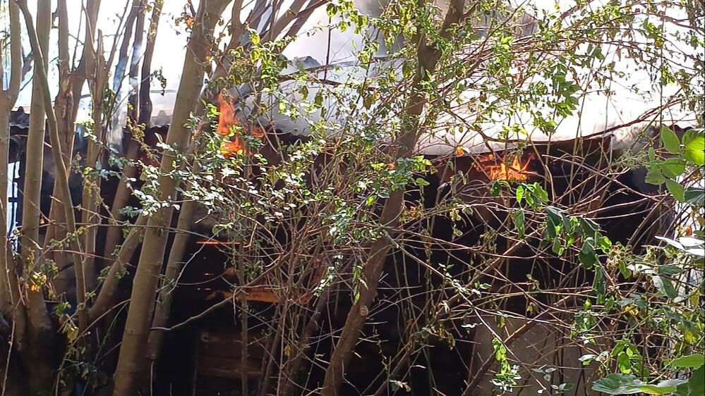 Düzce'de 40 yıldır güvercin besleyen Murat Deviren barakada çıkan yangınla kahroldu - 3. Resim