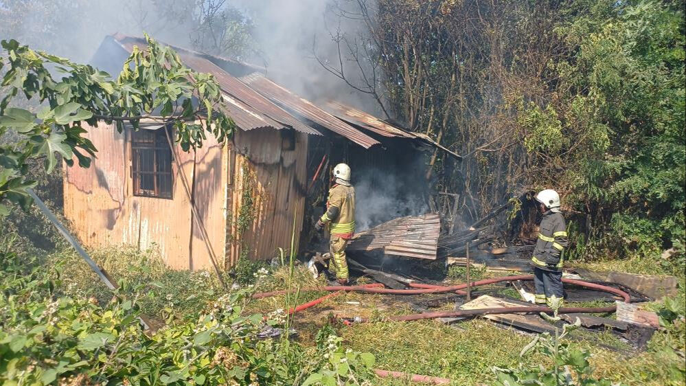 Düzce'de 40 yıldır güvercin besleyen Murat Deviren barakada çıkan yangınla kahroldu - 2. Resim