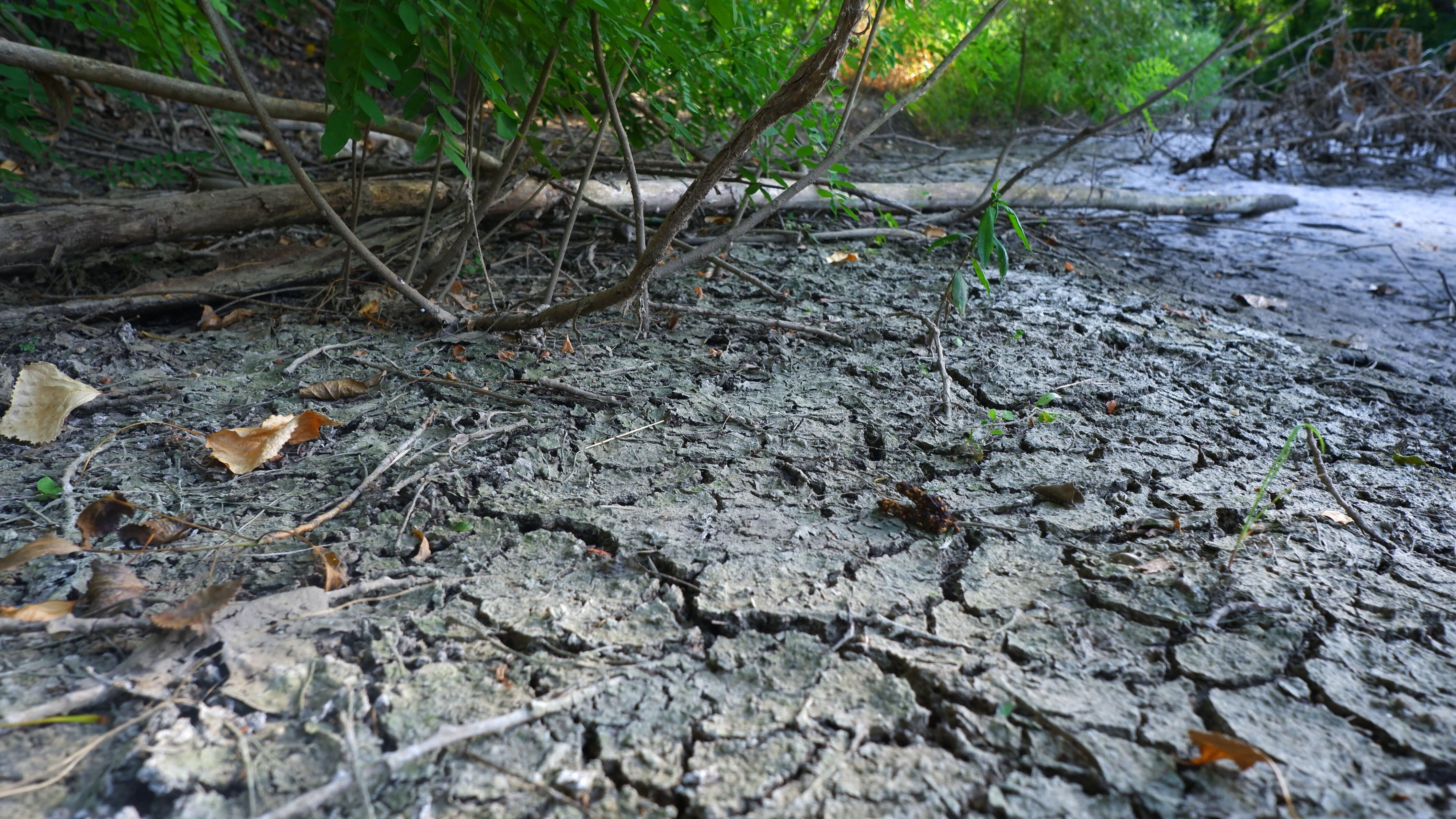 Eskiden balıklar yüzüyordu, şimdi insanlar yürüyor: İşte kuraklığın en net fotoğrafı... Eskiden balıklar yüzüyordu, şimdi insanlar yürüyor: İşte kuraklığın en net fotoğrafı... - 1. Resim