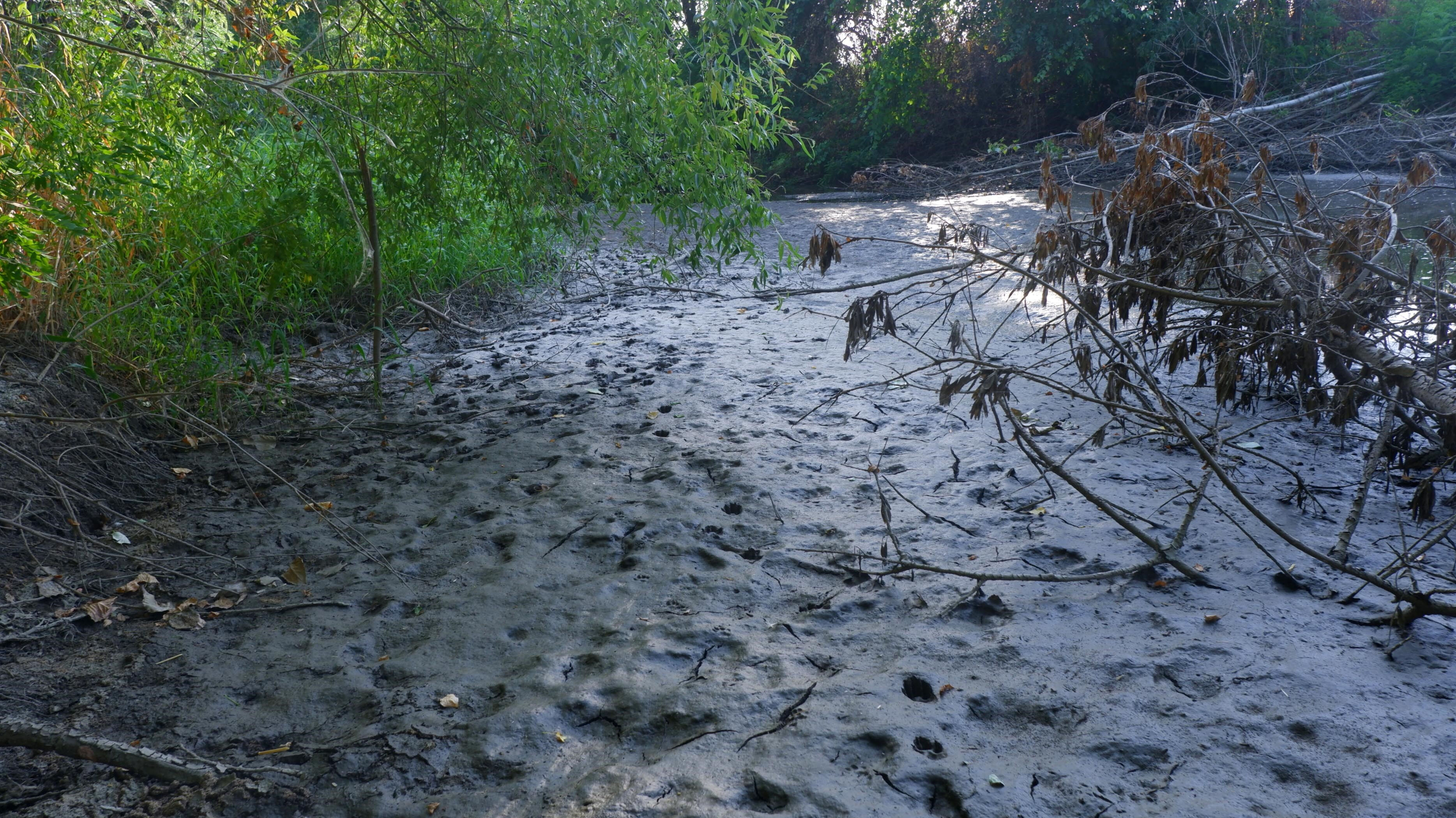 Eskiden balıklar yüzüyordu, şimdi insanlar yürüyor: İşte kuraklığın en net fotoğrafı... Eskiden balıklar yüzüyordu, şimdi insanlar yürüyor: İşte kuraklığın en net fotoğrafı... - 3. Resim