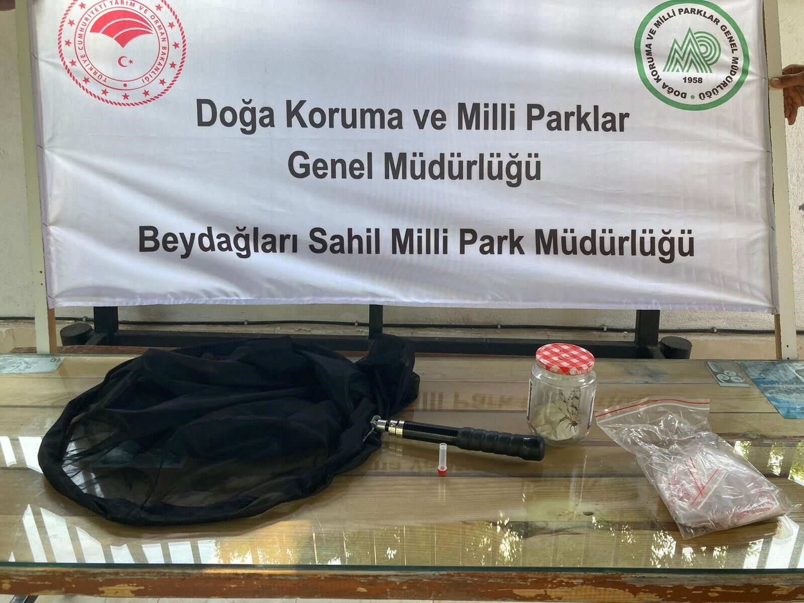 İzinsiz böcek topladı, rekor ceza yedi! Hayatının şokunu yaşayan adamın kimliği şaşırttı - 1. Resim