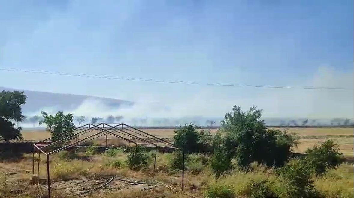 Mardin'de anız yangını: Yüzlerce dönüm kül oldu - 1. Resim