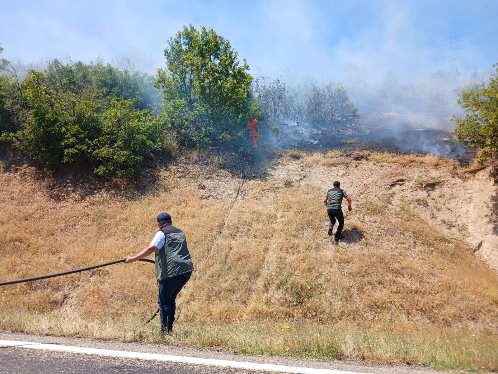 Bingöl'ün Genç ve Kiğı ilçelerinde orman yangınını söndürme çalışmaları sürüyor - 5. Resim
