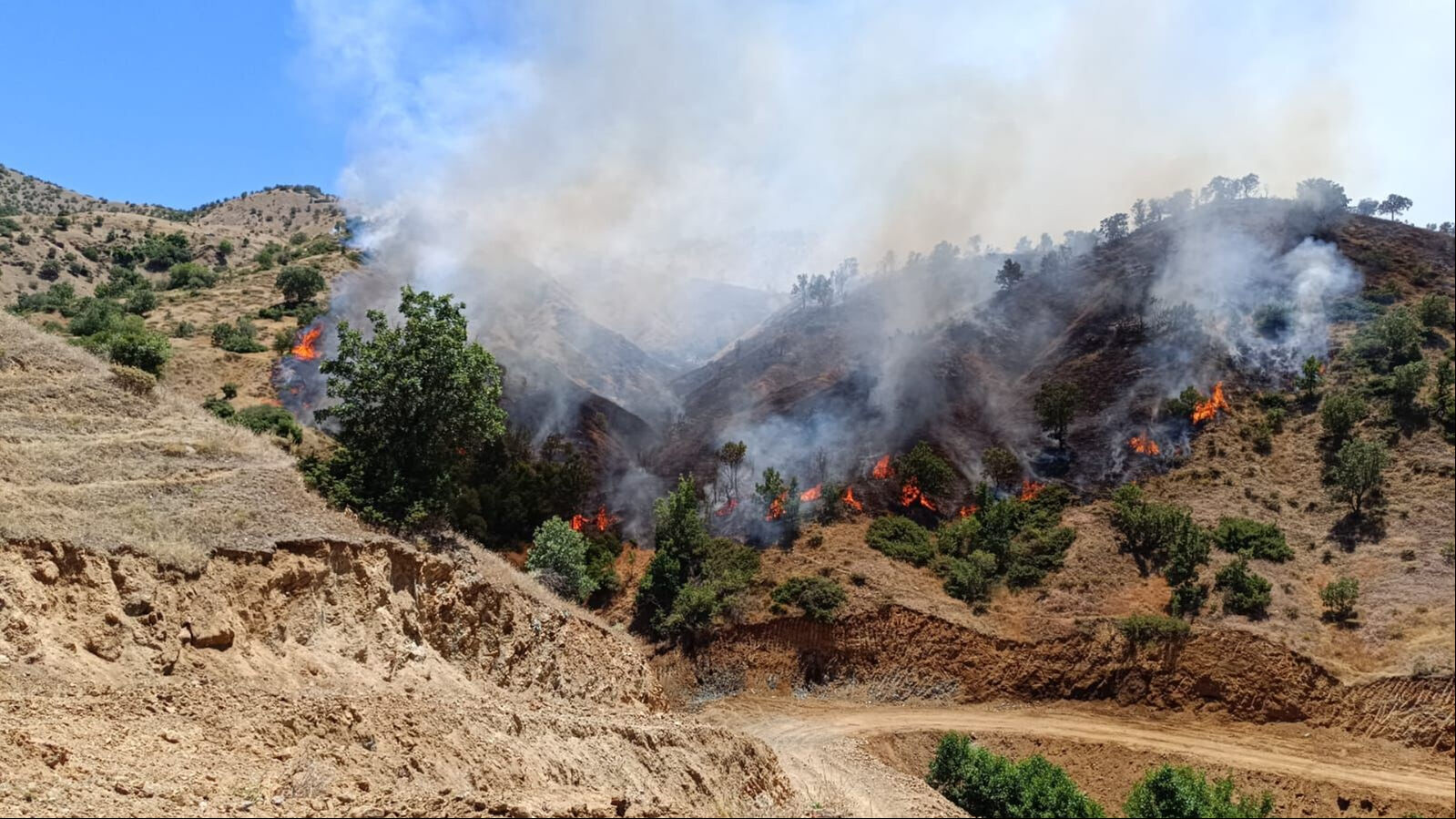 Bingöl'ün Genç ve Kiğı ilçelerinde orman yangınını söndürme çalışmaları sürüyor - 3. Resim