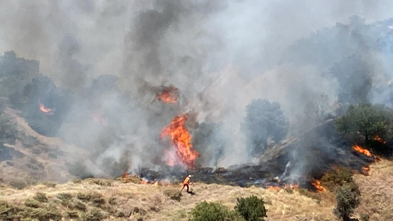 Bingöl'ün Genç ve Kiğı ilçelerinde orman yangınını söndürme çalışmaları sürüyor - 1. Resim