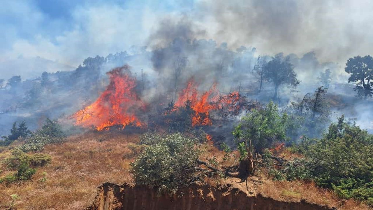 Bingöl'ün Genç ve Kiğı ilçelerinde orman yangınını söndürme çalışmaları sürüyor - Haberler