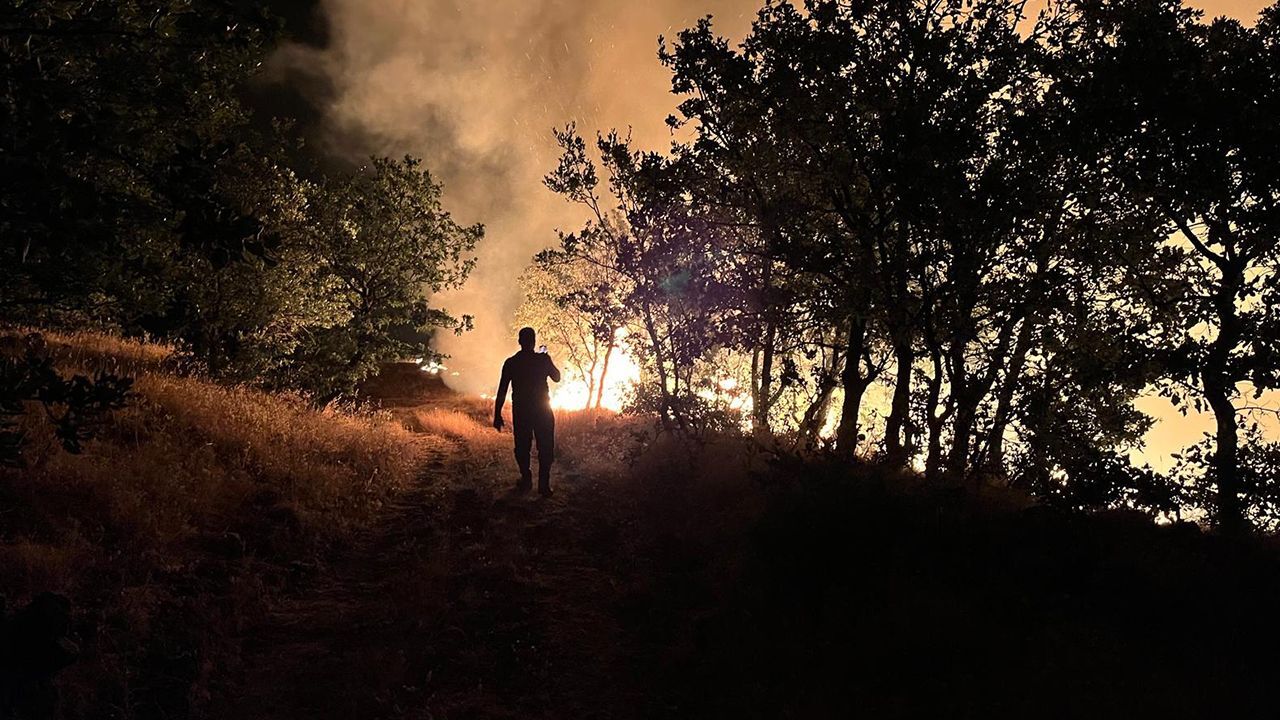 Orman yangınları nedeniyle Türkiye genelinde 40 ilde ormanlara giriş yasaklandı