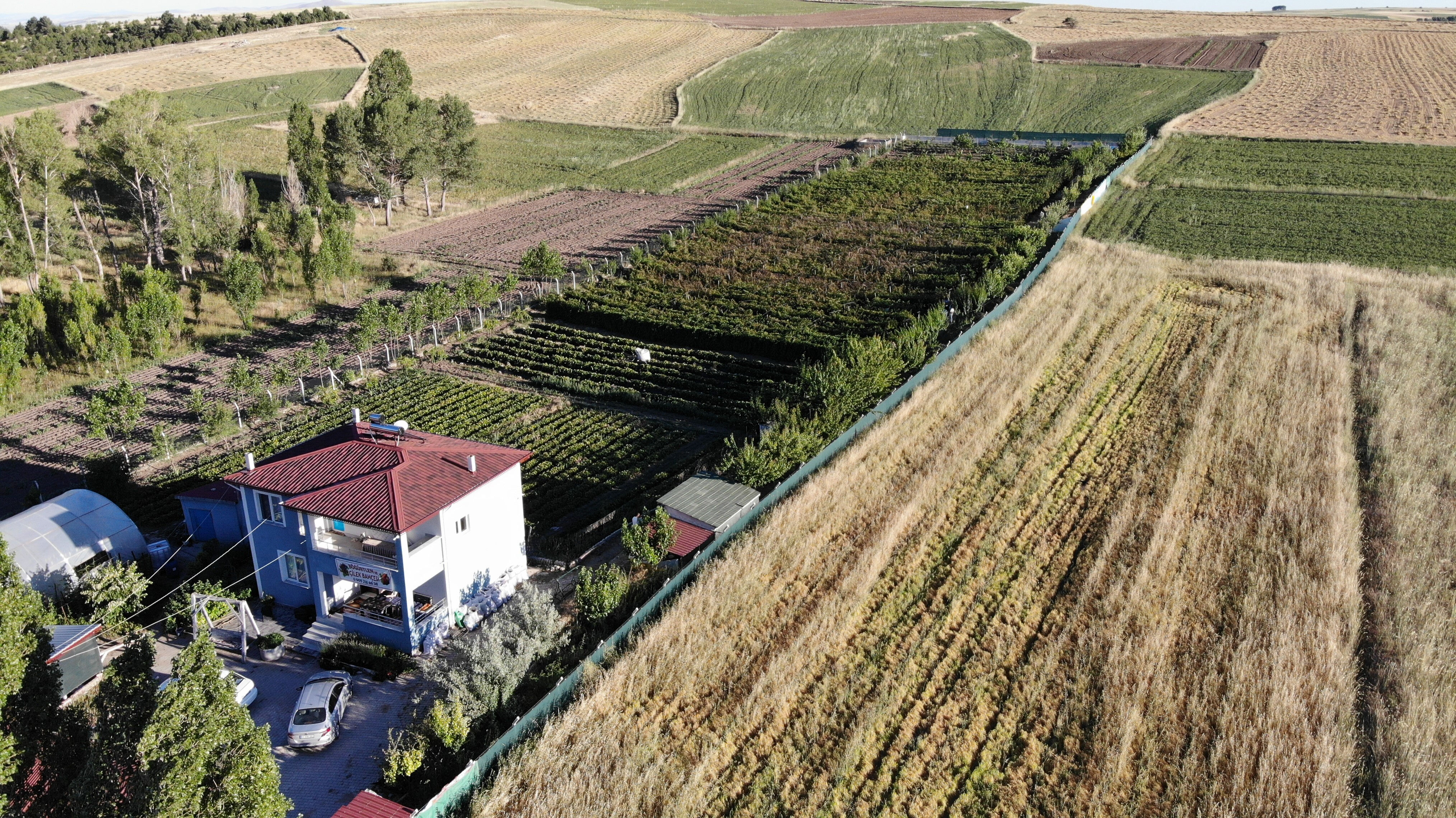 3 yılda hayatı değişti! Hobi amaçlı başladı, şimdi siparişlere yetişemiyor - 1. Resim