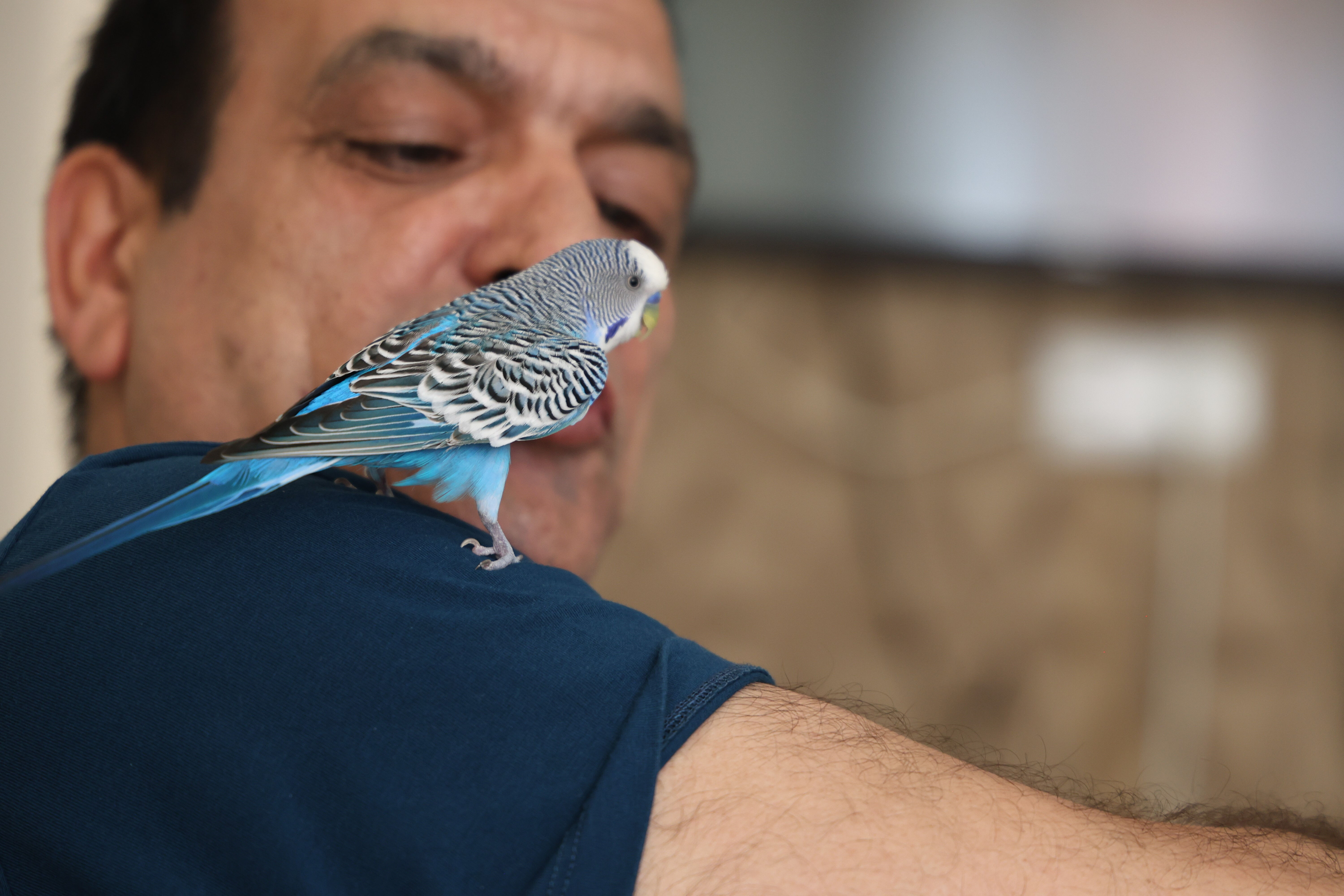 Duyanlar şaşıp kalıyor: Muhabbet kuşundan "Sayın Erdoğan" tiradı Duyanlar şaşıp kalıyor: Muhabbet kuşundan "Sayın Erdoğan" tiradı - 3. Resim