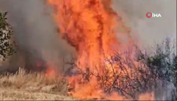 İzmir, Çanakkale, Edirne Afyon, Aydın Kahramanmaraş, Muğla ve Karaman'da alevlerle mücadele! Mahalle boşaltıldı, otoban kapatıldı - 10. Resim