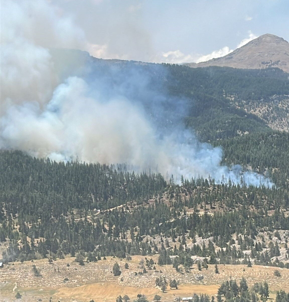 İzmir, Kahramanmaraş, Muğla ve Karaman'da alevlerle mücadele! Mahalle boşaltıldı, otoban kapatıldı - 5. Resim