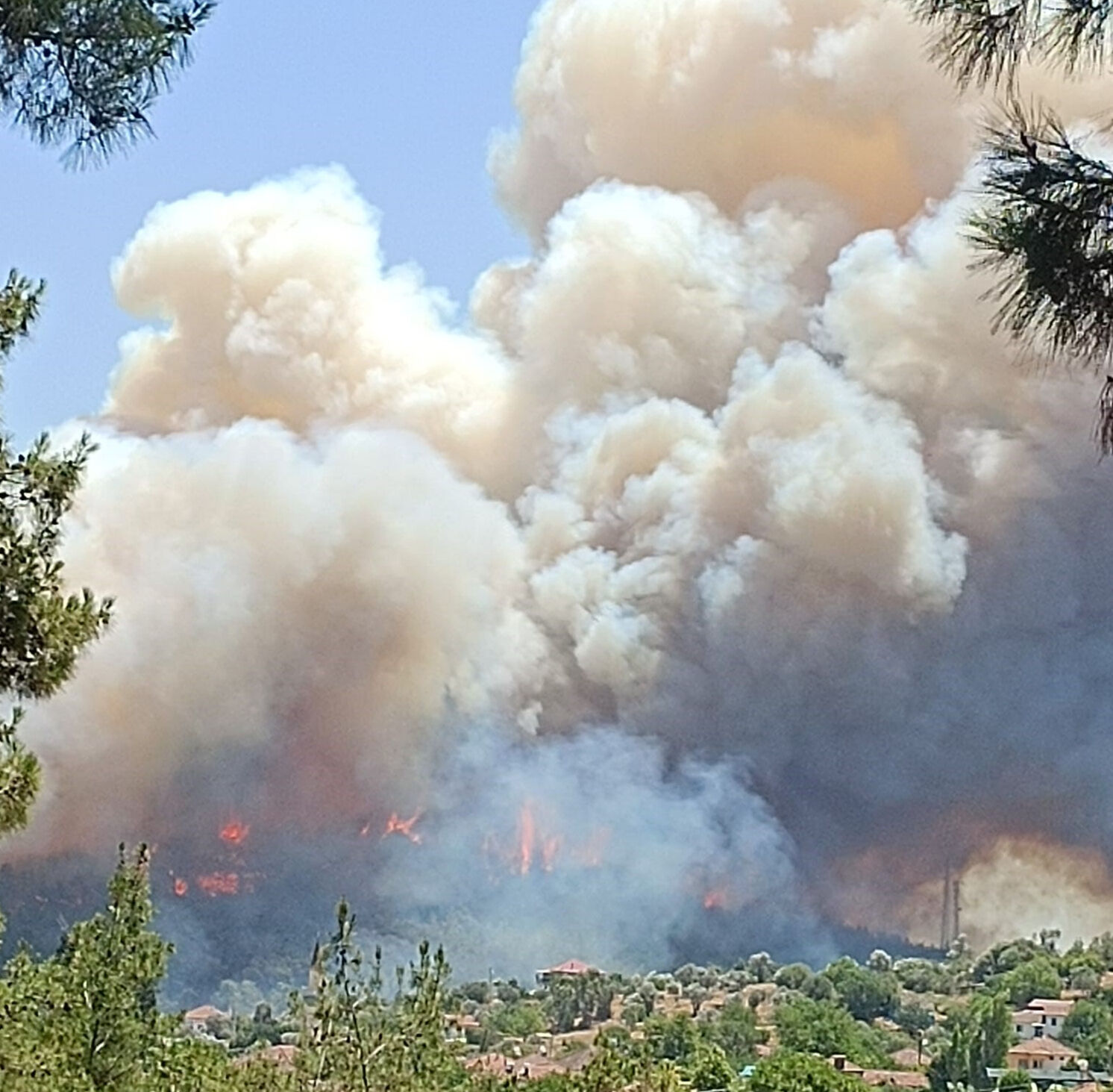İzmir Menderes'te orman yangını! Havadan ve karadan müdahale ediliyor - 1. Resim