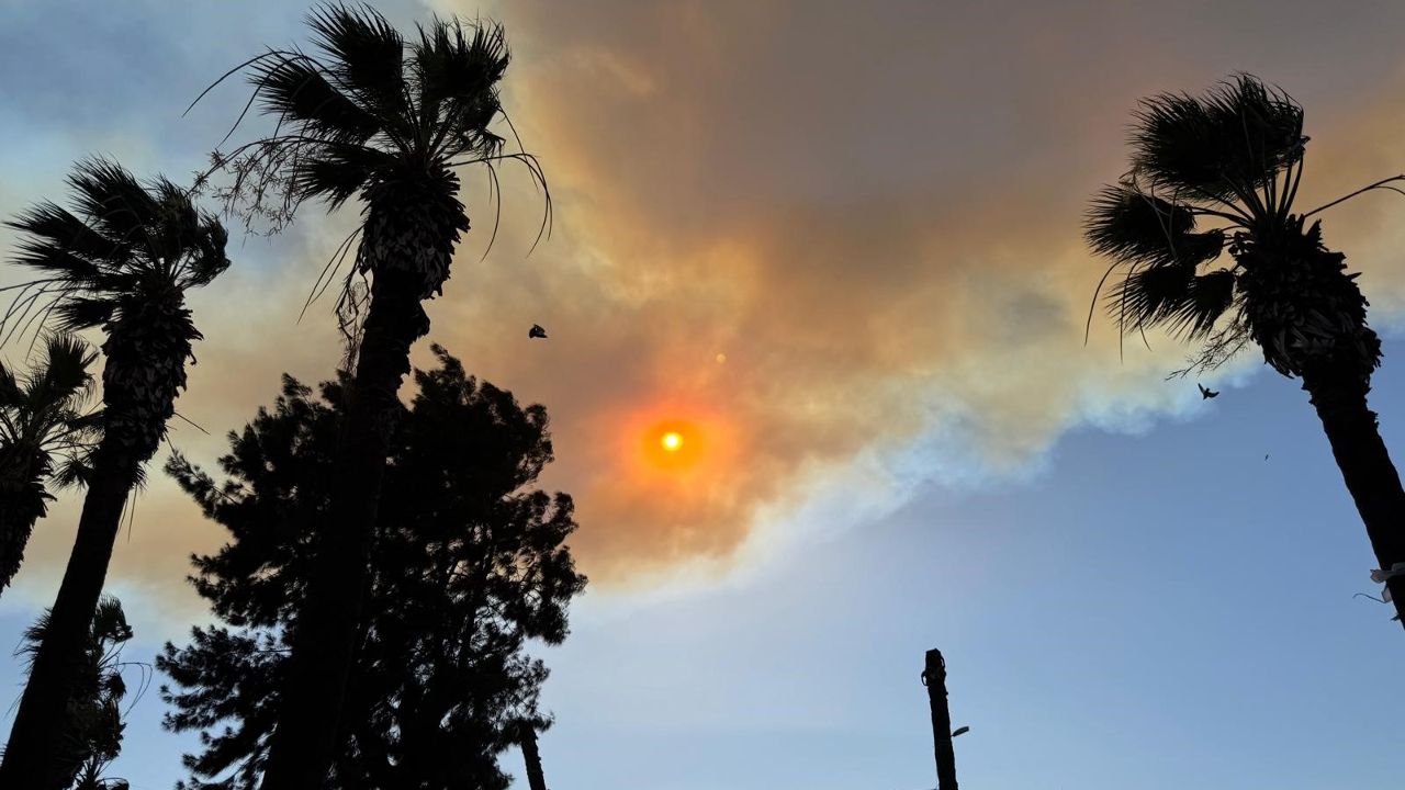 İzmir&#039;deki orman yangını dumanı Kuşadası’na ulaştı