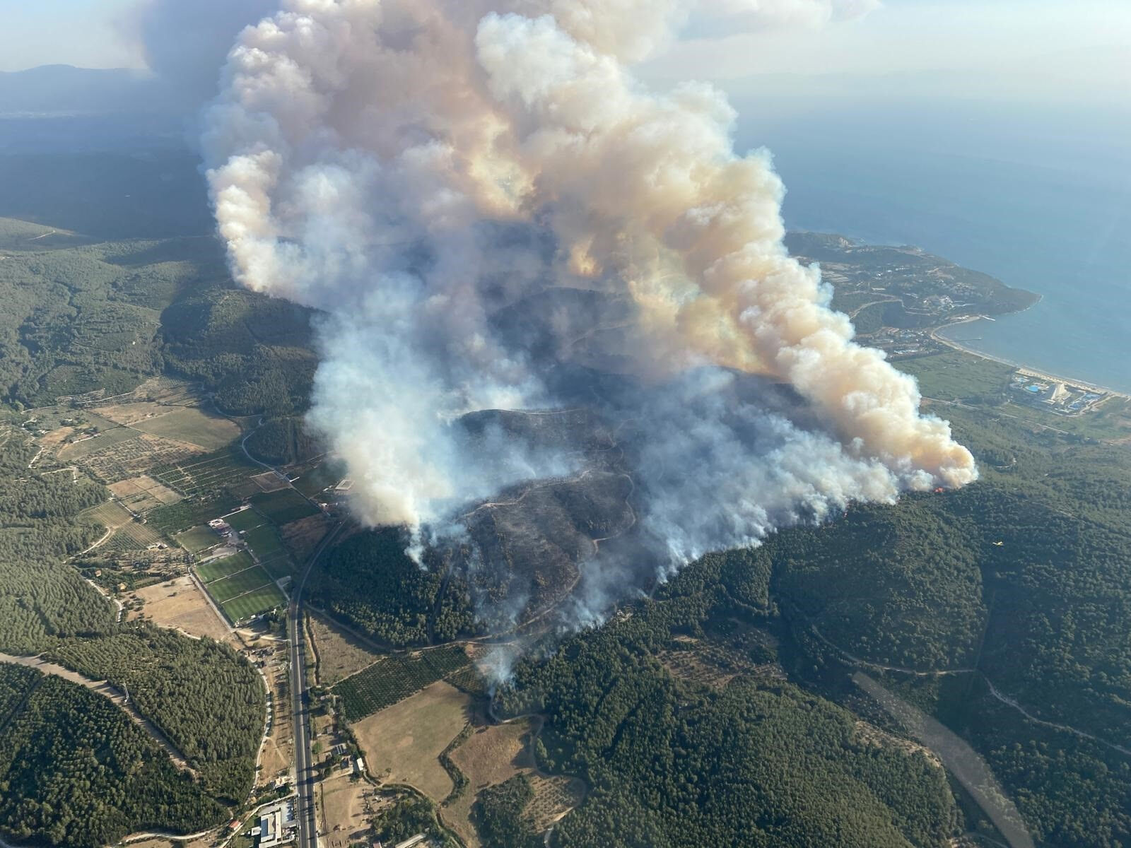 İzmir'in Menderes ve Çeşme ilçeleri dışında Selçuk'ta da yangın çıktı - 1. Resim