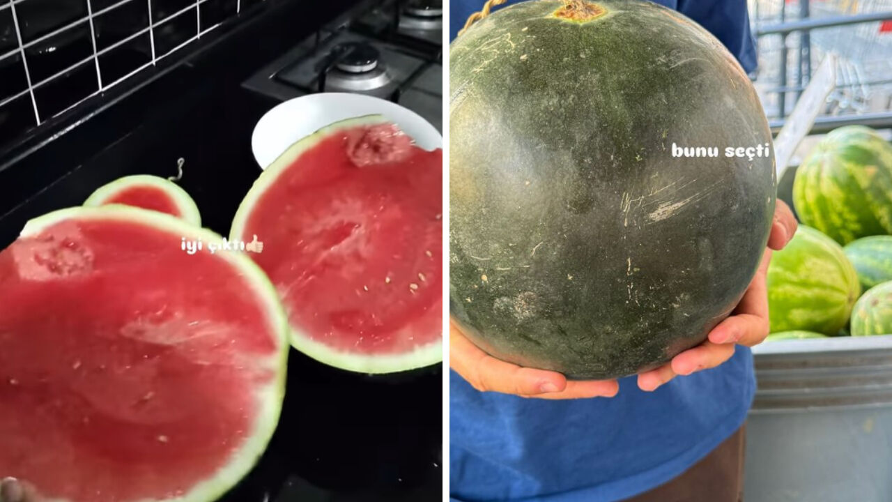 Karpuz seçme devri kapandı! Yapay zeka artık karpuz seçebiliyor - 3. Resim
