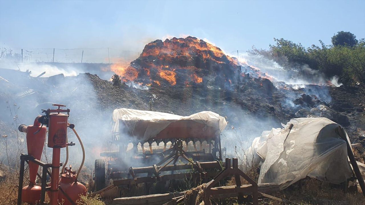 Balıkesir Susurluk'taki yangında son durum! Kontrol altına alındı - Gündem
