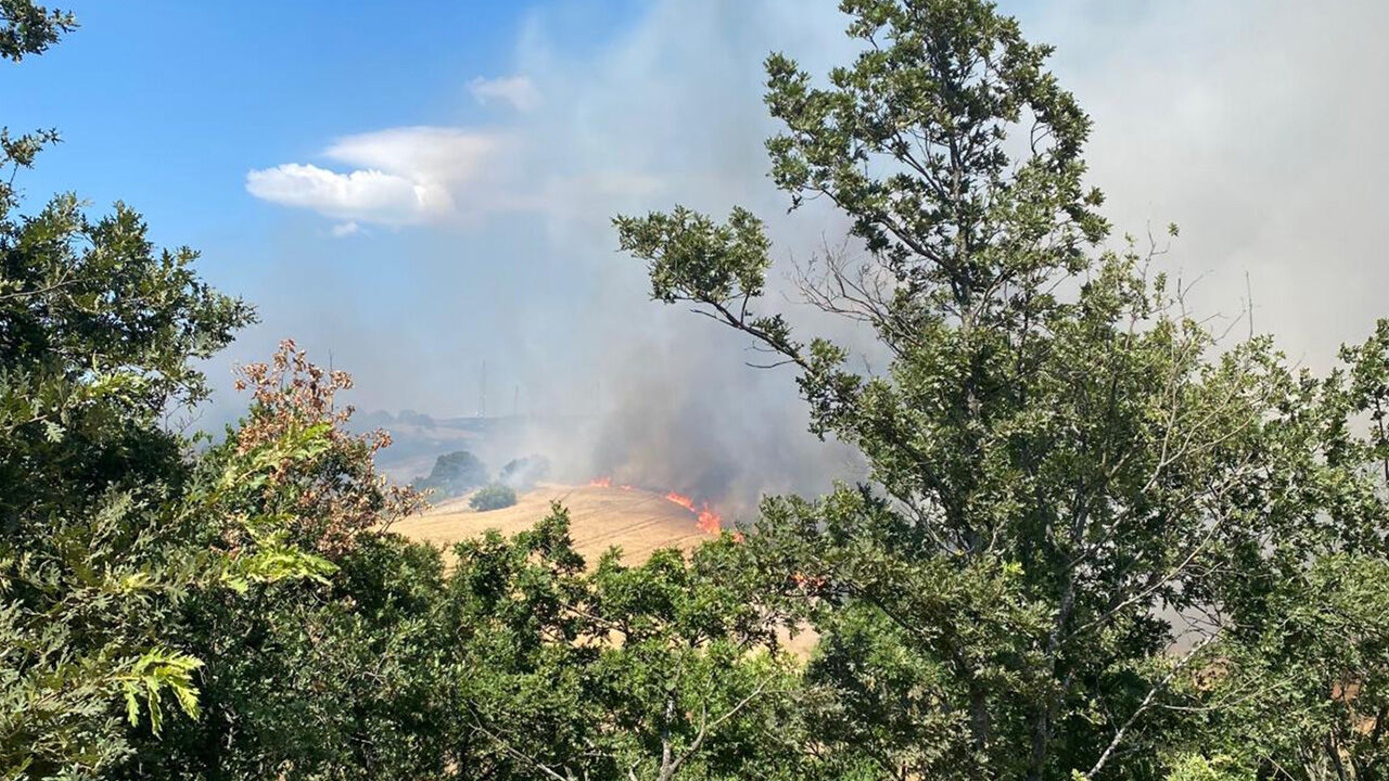Balıkesir Susurluk'taki yangında son durum! Kontrol altına alındı - 1. Resim