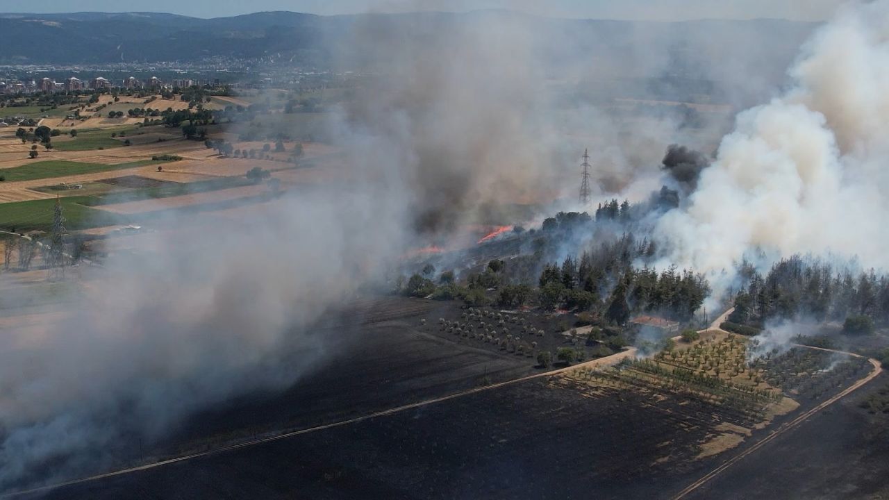 Bursa'da yangın! Alevler ormanlık alana sıçradı, küçükbaş hayvanlar telef oldu - Gündem