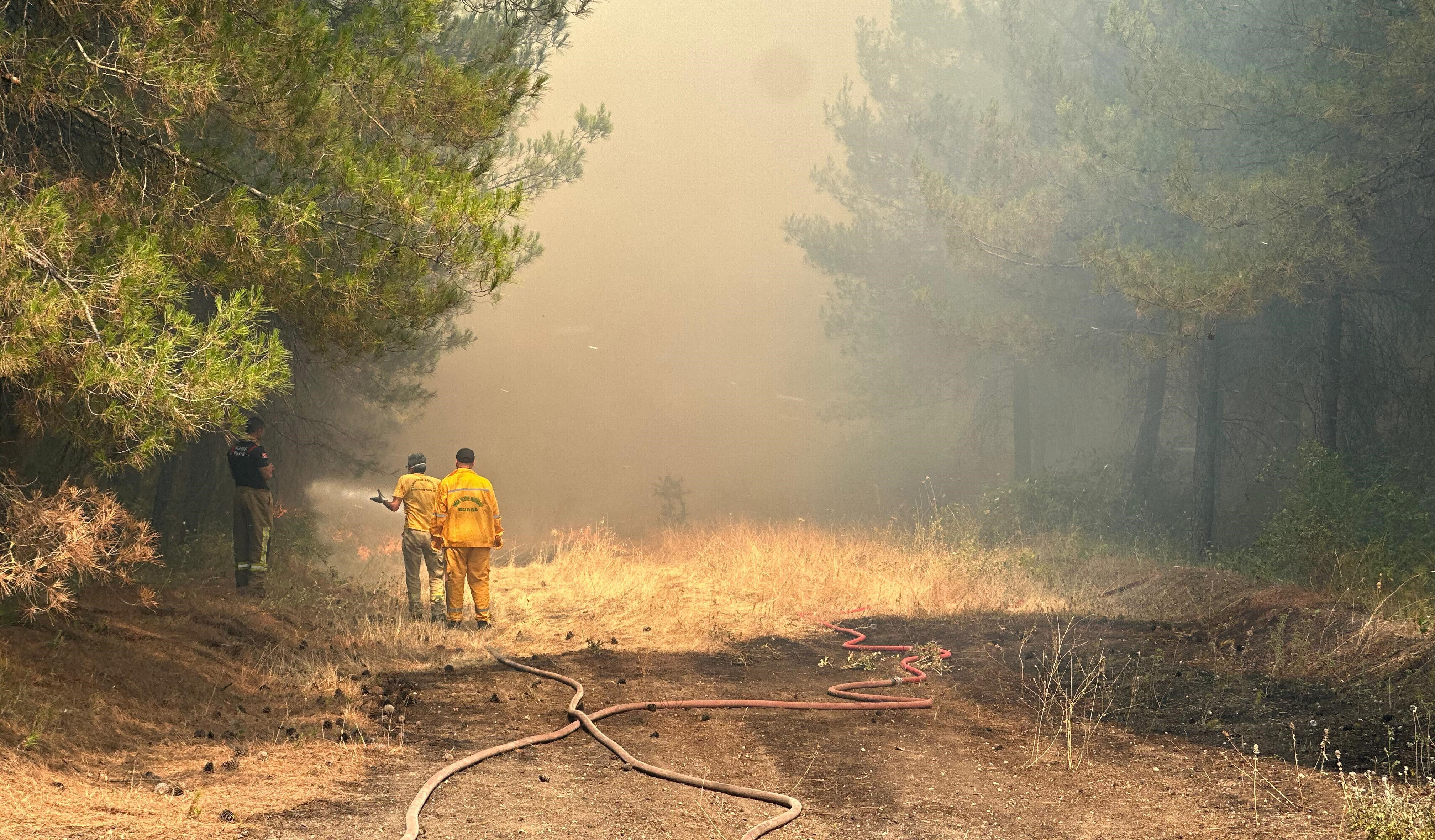 Bursa'da yangın! Alevler ormanlık alana sıçradı, küçükbaş hayvanlar telef oldu - 2. Resim