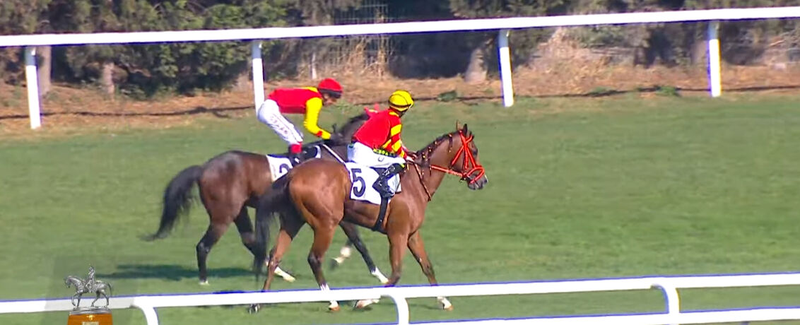 Gazi Koşusu'nu Dragon Flame ile Akın Sözen kazandı! Büyük ödül 13,5 milyon TL Gazi Koşusu'nu Dragon Flame ile Akın Sözen kazandı! Büyük ödül 13,5 milyon TL - 2. Resim