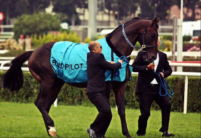 Gazi Koşusu'nu Dragon Flame ile Akın Sözen kazandı! Büyük ödül 13,5 milyon TL Gazi Koşusu'nu Dragon Flame ile Akın Sözen kazandı! Büyük ödül 13,5 milyon TL - 3. Resim