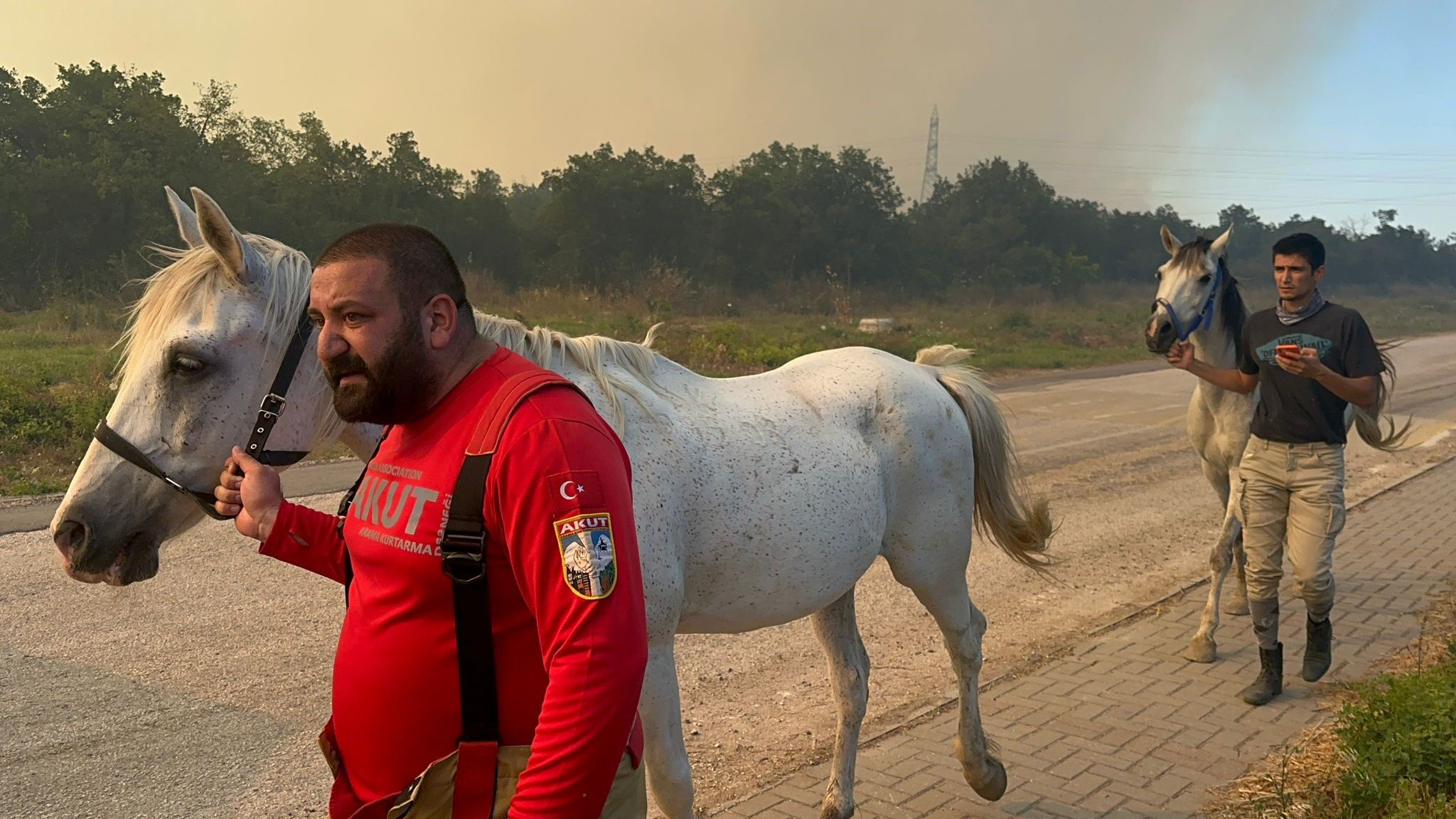 Muğla, Antalya, Bursa, Adana ve Kastamonu'da orman yangını! Havadan ve karadan müdahaleler sürüyor - 1. Resim