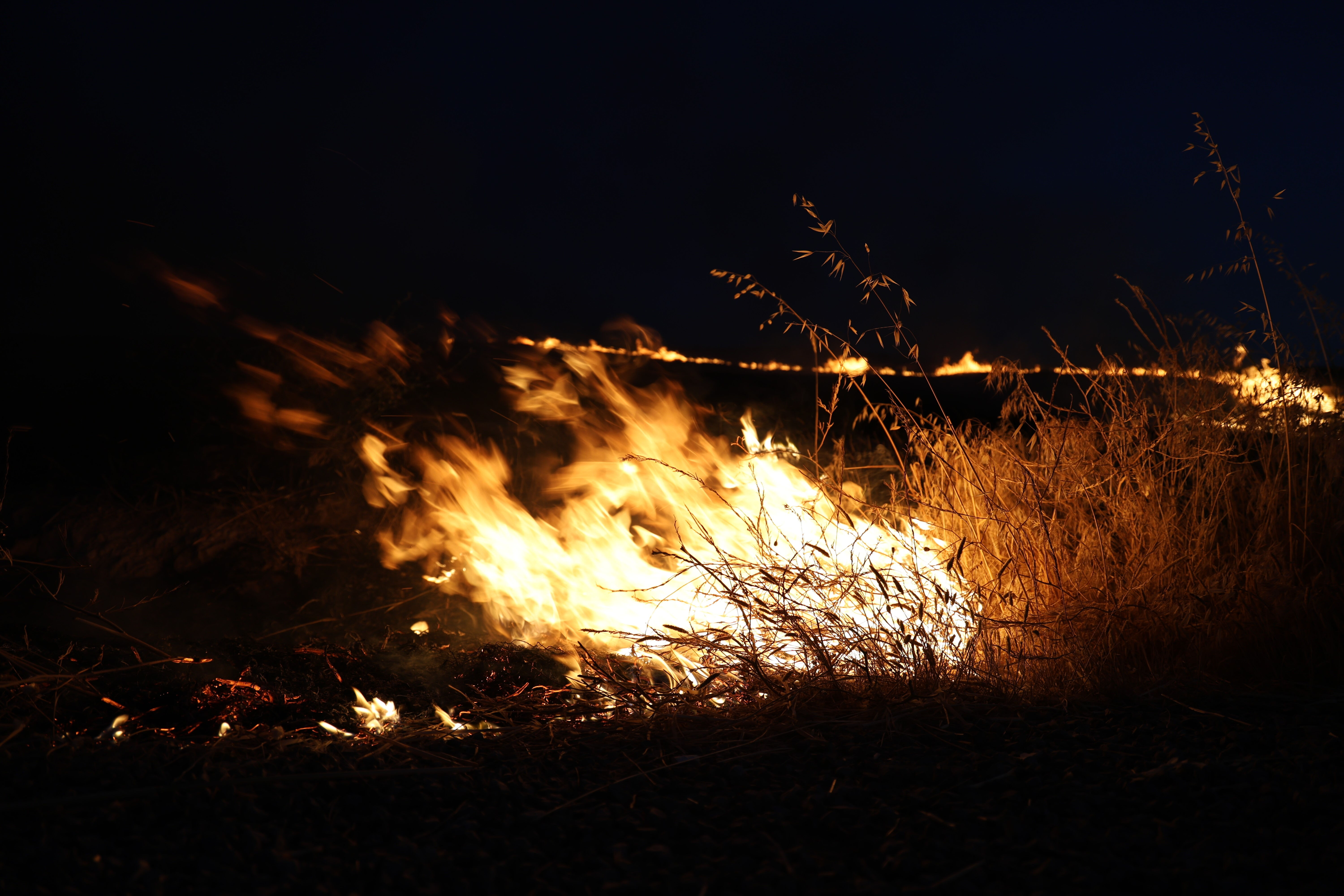 Muğla, Antalya, Bursa, Adana ve Kastamonu'da orman yangını! Havadan ve karadan müdahaleler sürüyor - 1. Resim