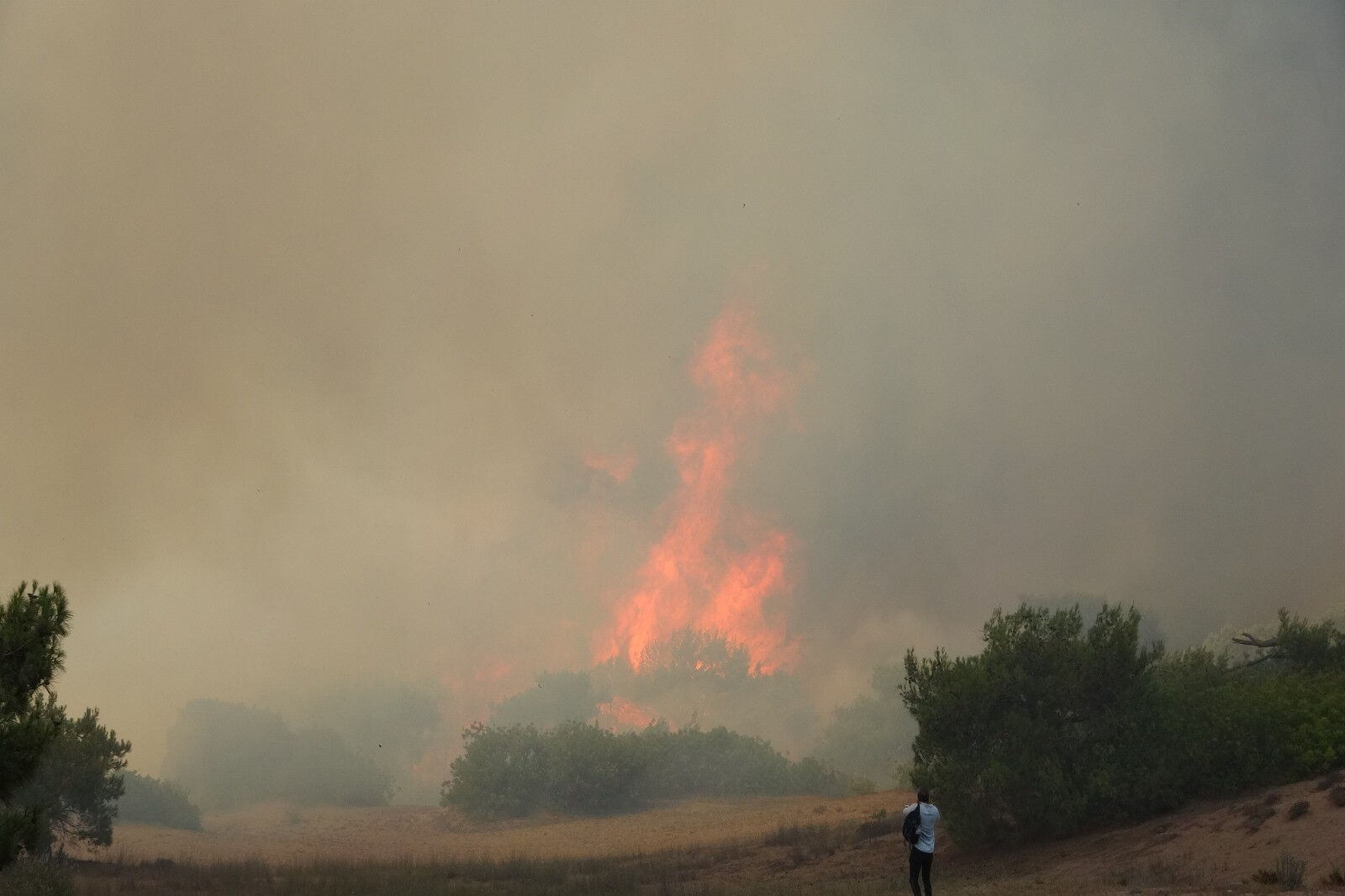 Muğla, Antalya, Bursa ve Adana'da orman yangını! Havadan ve karadan müdahaleler sürüyor - 1. Resim