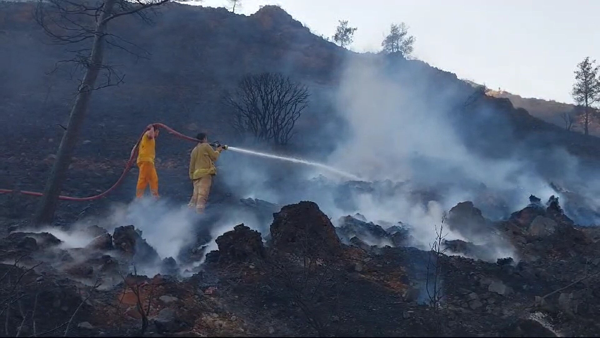Muğla, Antalya, Bursa ve Adana'da orman yangını! Havadan ve karadan müdahaleler sürüyor - 2. Resim