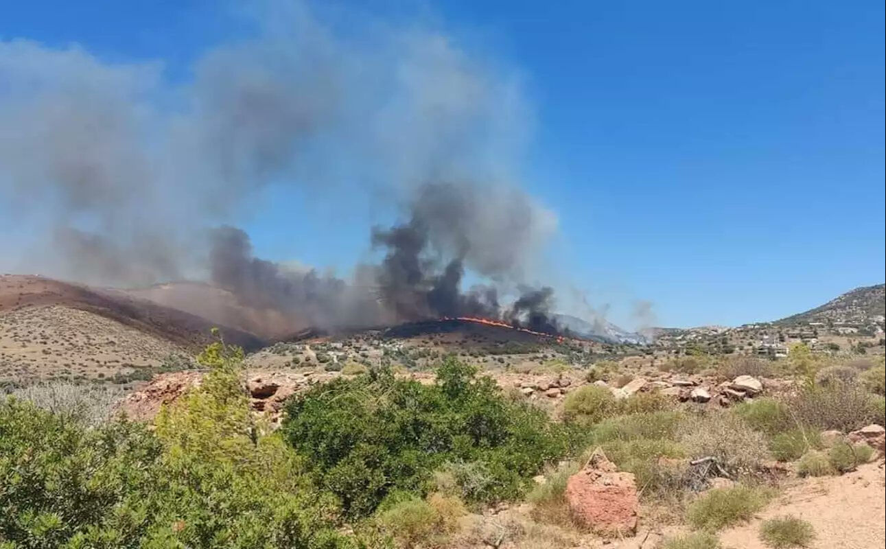 Yunanistan Keratea'daki yangın yerleşim birimlerine geldi - 1. Resim