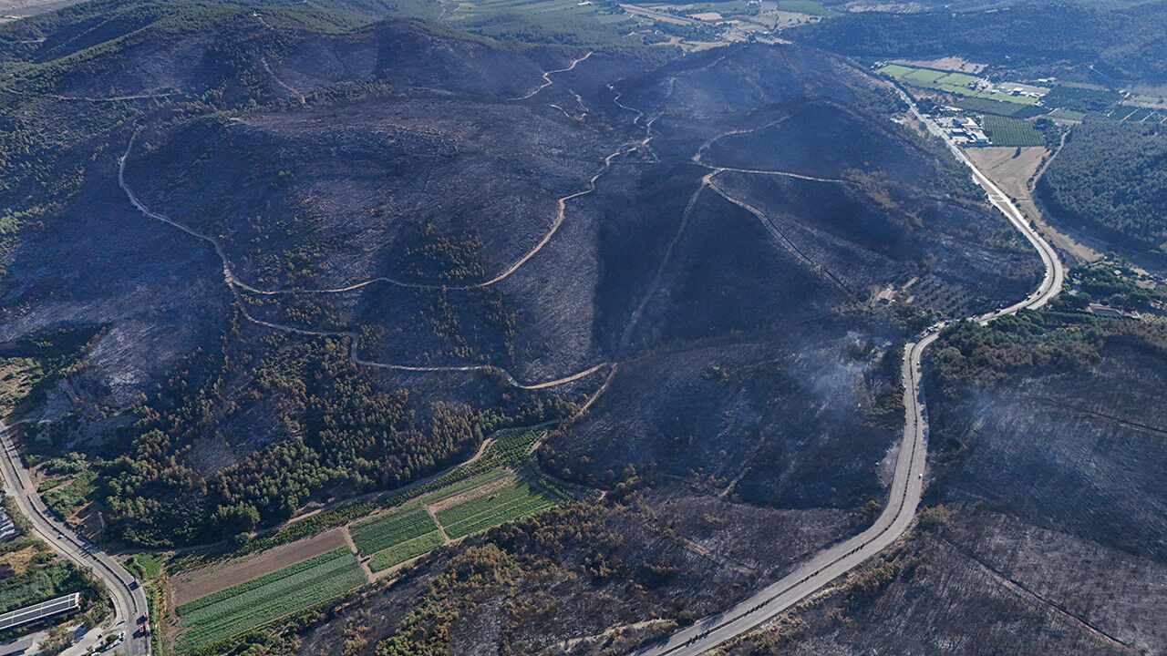 Yürekleri sızlatan kareler... İzmir Selçuk'taki yangının boyutu havadan görüntülendi - 1. Resim