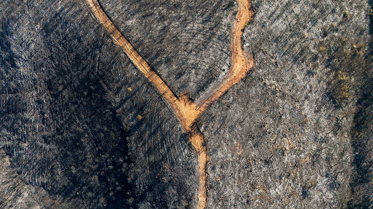 Yürekleri sızlatan kareler... İzmir Selçuk'taki yangının boyutu havadan görüntülendi - 3. Resim