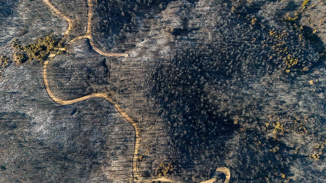 Yürekleri sızlatan kareler... İzmir Selçuk'taki yangının boyutu havadan görüntülendi - 2. Resim