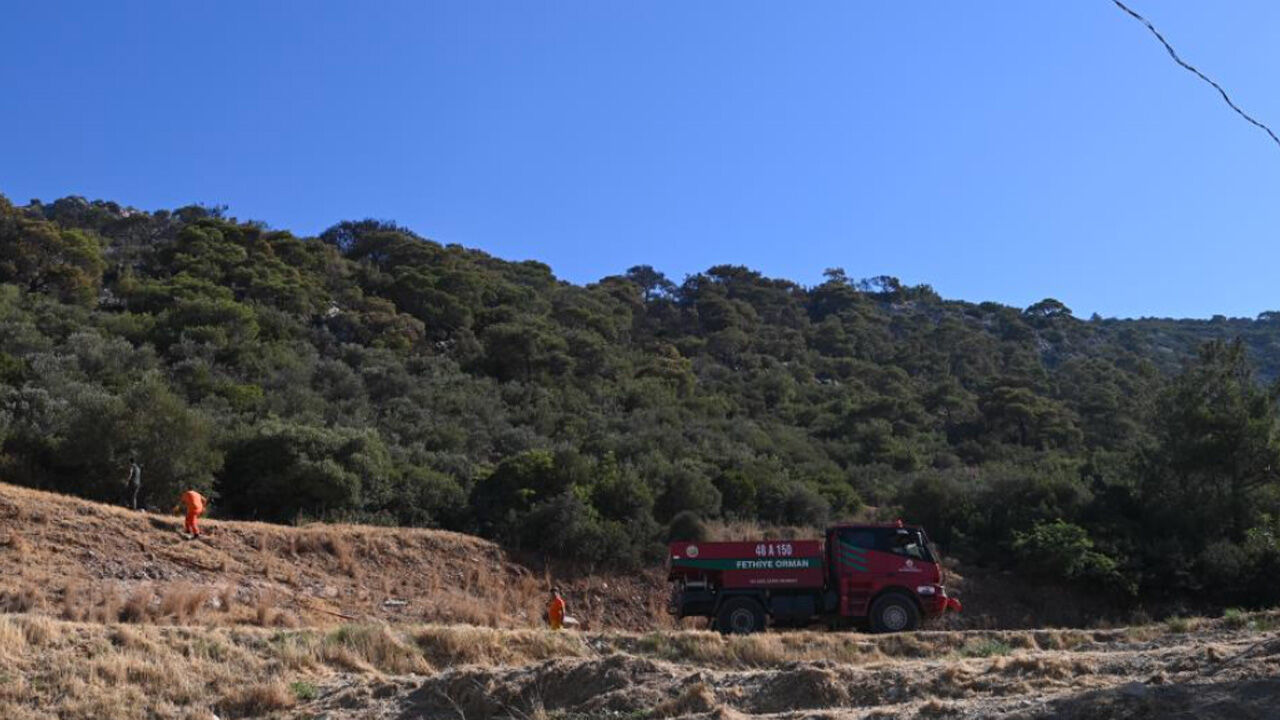 Yürekleri sızlatan kareler... İzmir Selçuk'taki yangının boyutu havadan görüntülendi - 4. Resim