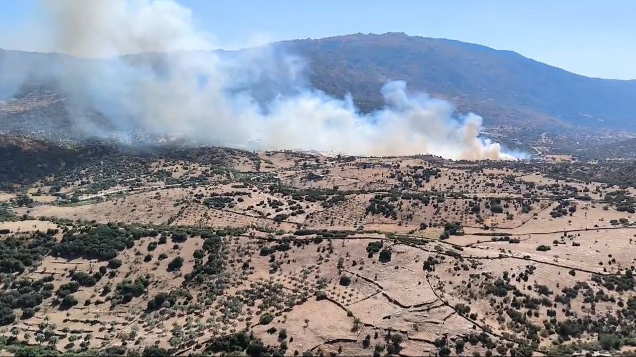 Aydın'ın Çine ilçesinde orman yangınında söndürme çalışmaları sürüyor - Haberler