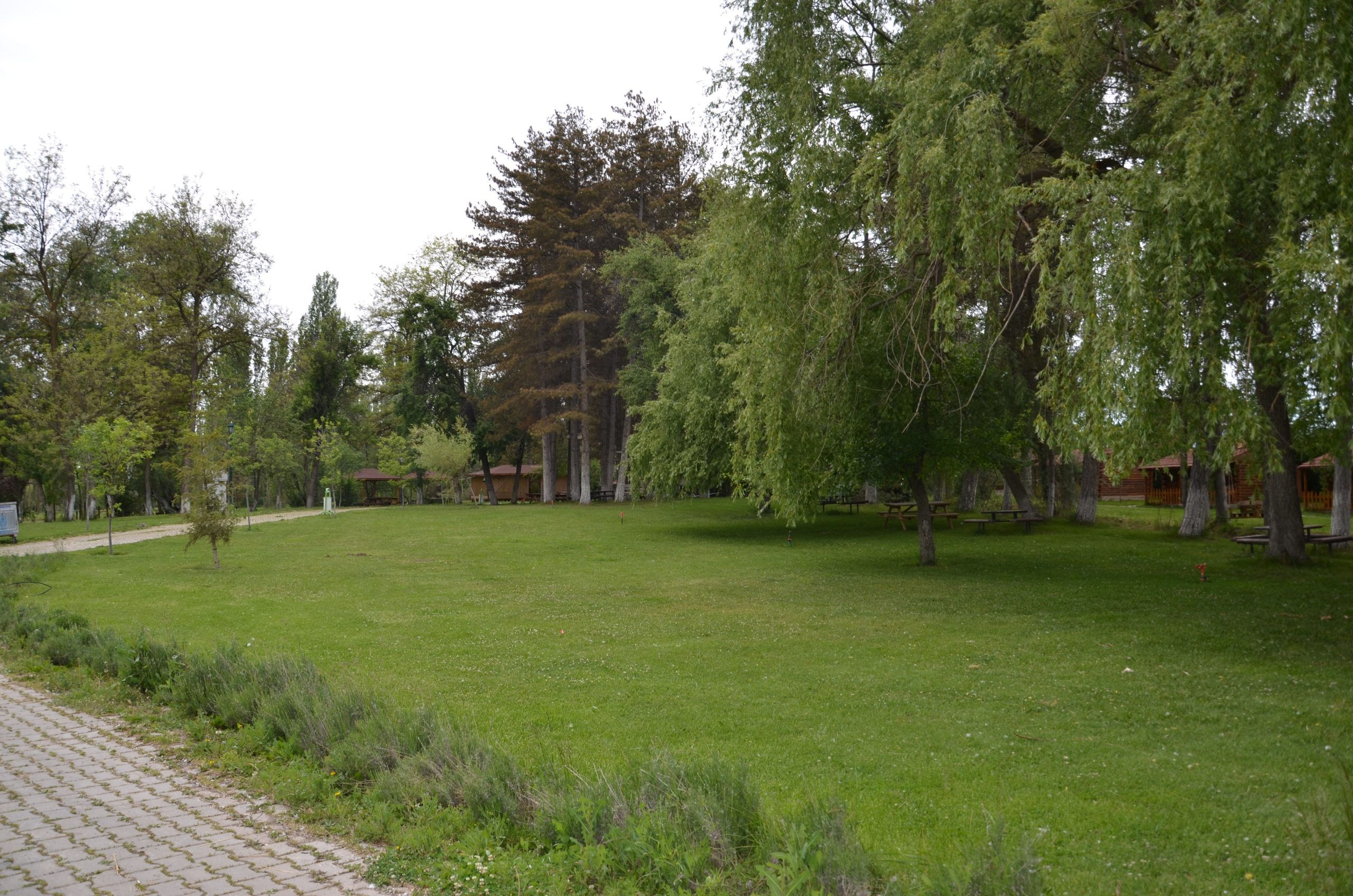 Eskişehir'de kamp yapmanın en ucuz yolu! Büyükyayla, Yazılıkaya, Beşikderesi kamp alanlarıyla ücretli, ücretsiz seçenekler Eskişehir'de kamp yapmanın en ucuz yolu! Büyükyayla, Yazılıkaya, Beşikderesi kamp alanlarıyla ücretli, ücretsiz seçenekler - 9. Resim