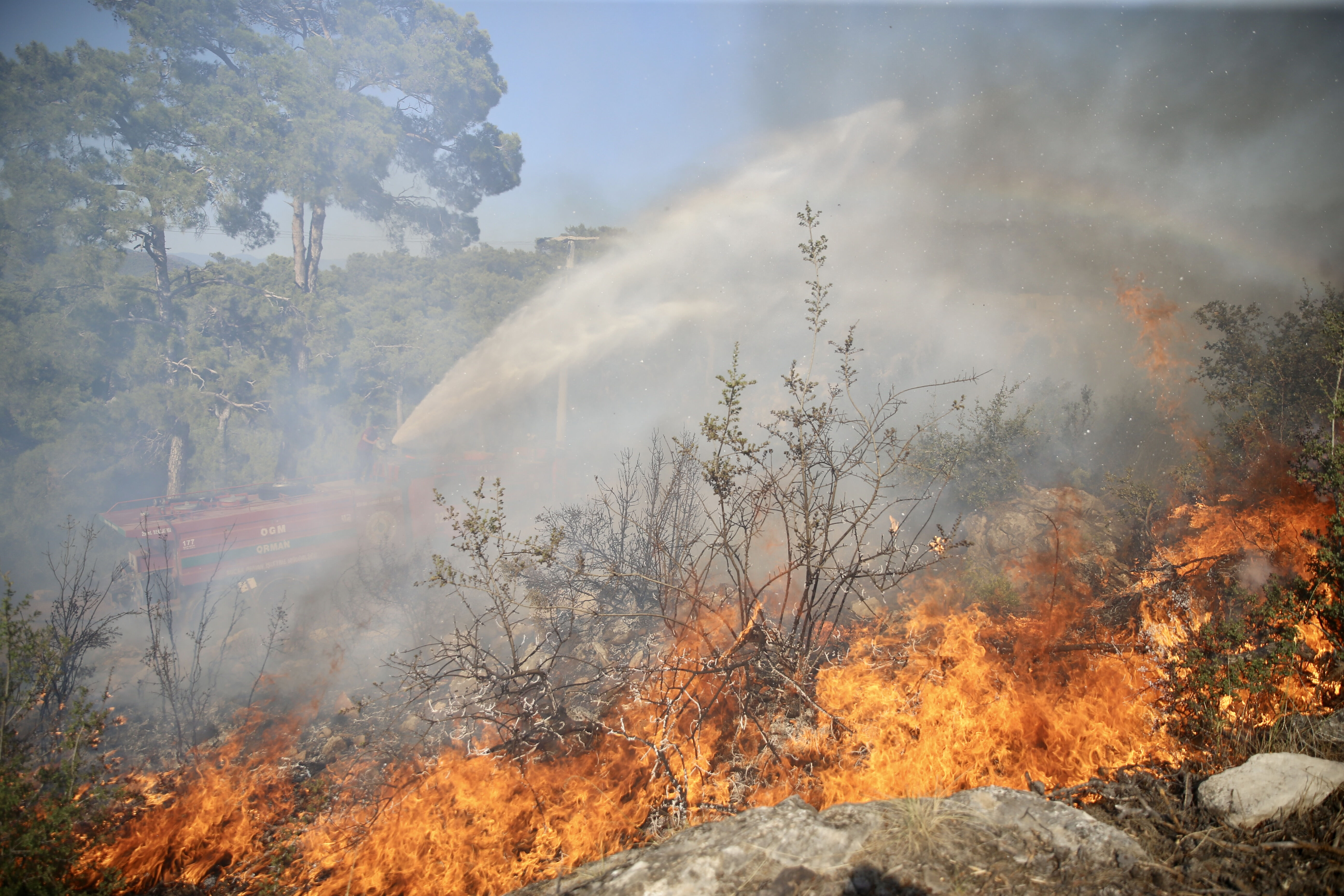 Fethiye'de korkutan yangın! Zeytinlik alanda çıktı, ormana sıçradı... Büyümeden söndürüldü Fethiye'de korkutan yangın! Zeytinlik alanda çıktı, ormana sıçradı... Büyümeden söndürüldü - 1. Resim