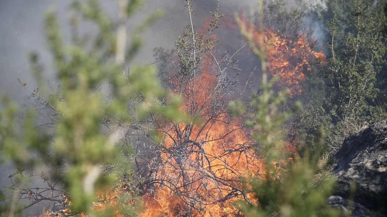 Fethiye&#039;de korkutan yangın! Zeytinlik alanda çıktı, ormana sıçradı... Büyümeden söndürüldü