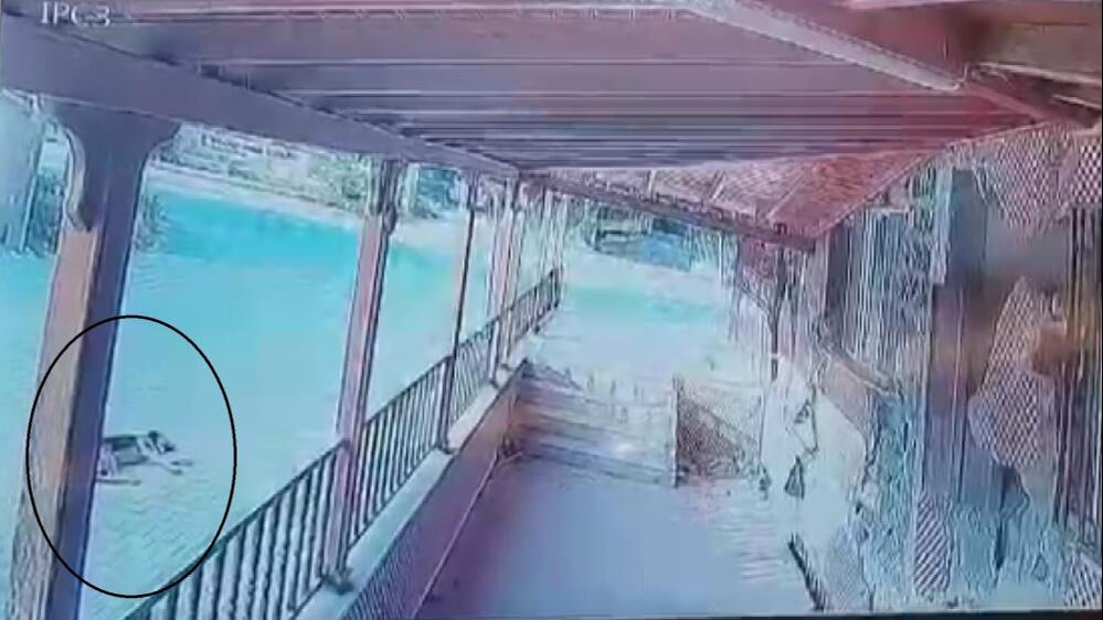 Hatay'da yol ortasında yatan köpeği kamyonetle ezdi - 1. Resim