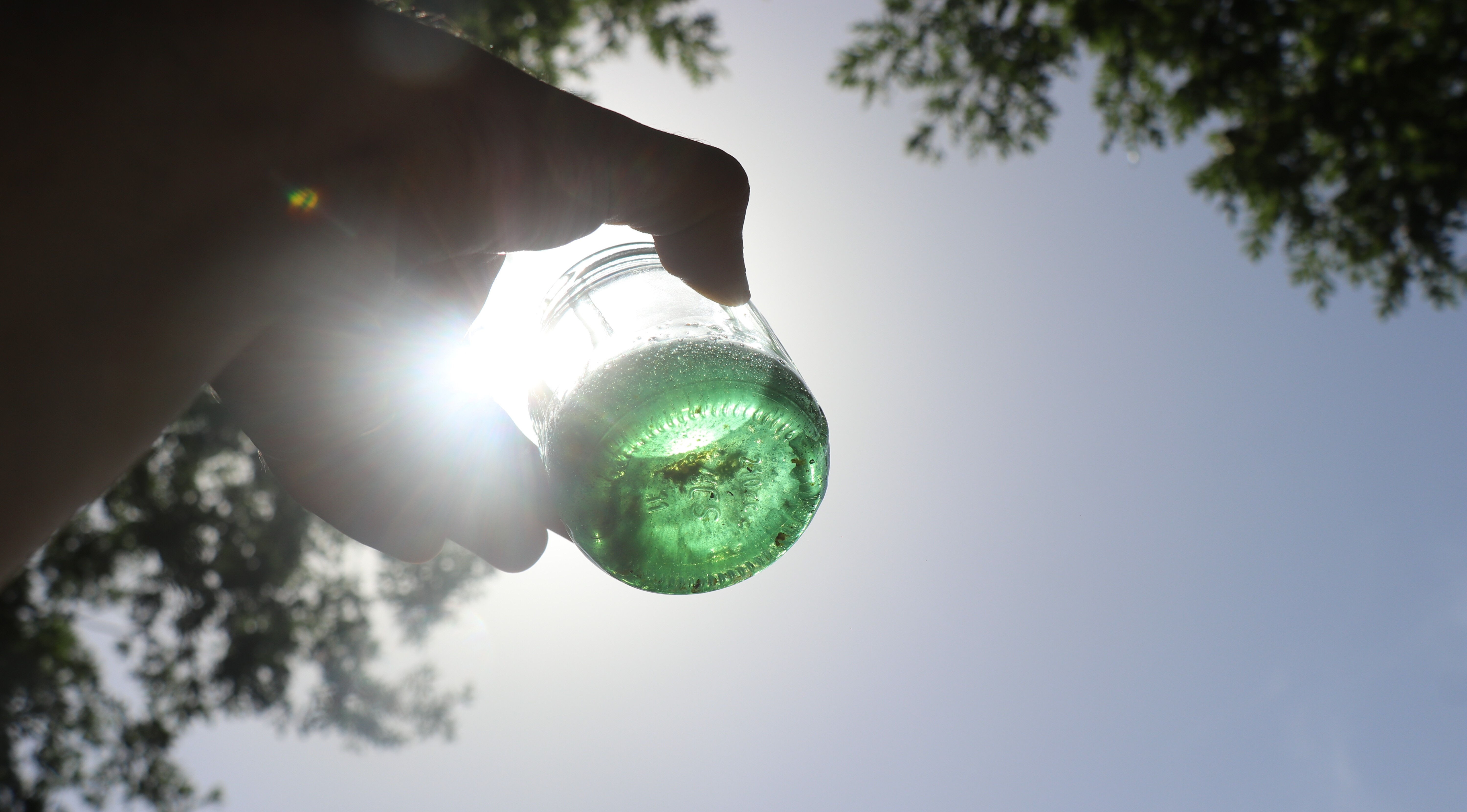 Kovanı açıp baktı, şaşkına döndü! Kilosu 30 bin liradan satılan yeşil balın gizemi araştırılıyor - 2. Resim