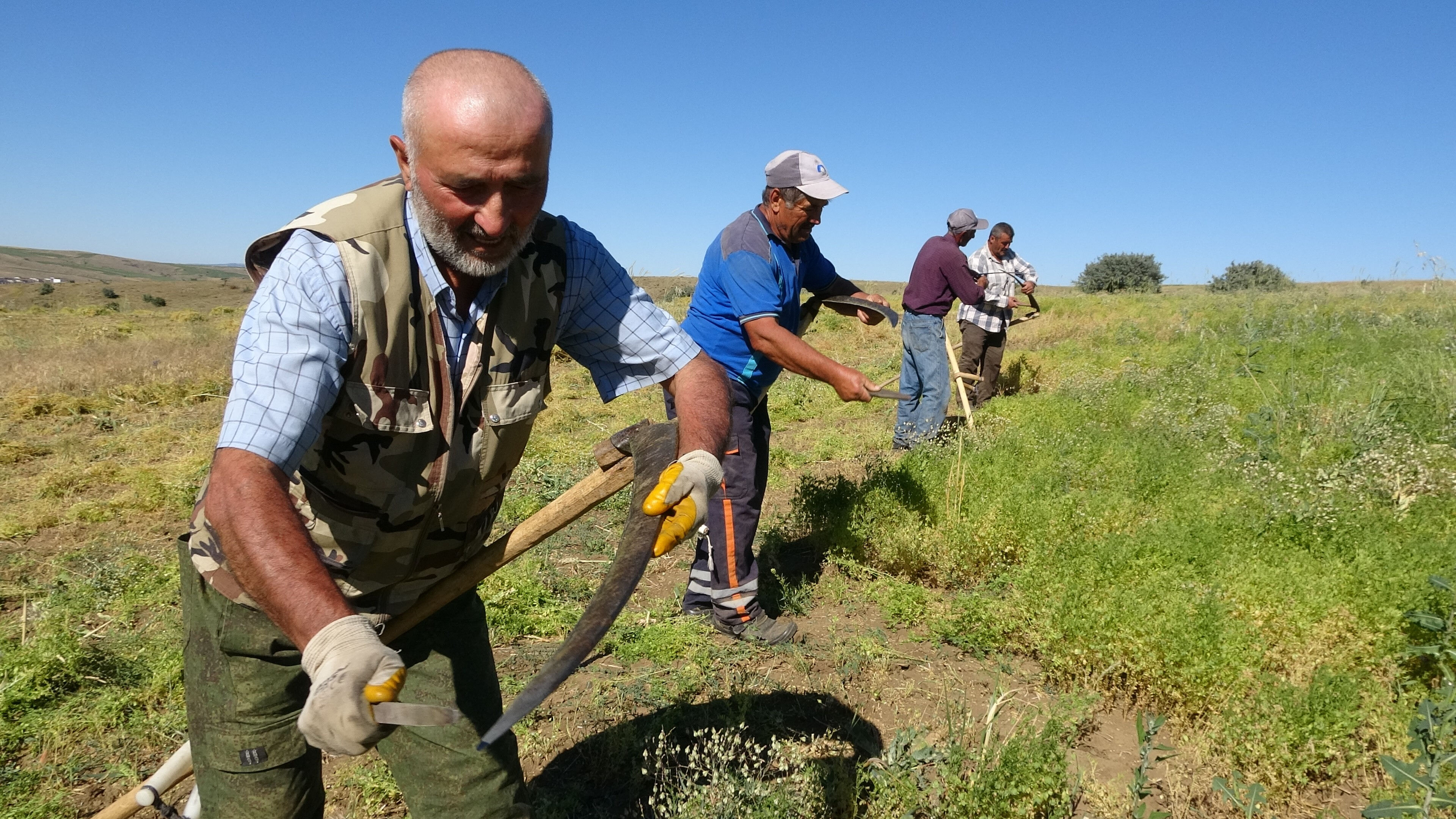 Maaşları 45 bin liraya çıktı! Yozgatlı çiftçi tırpan işçisi bulamıyor - 3. Resim