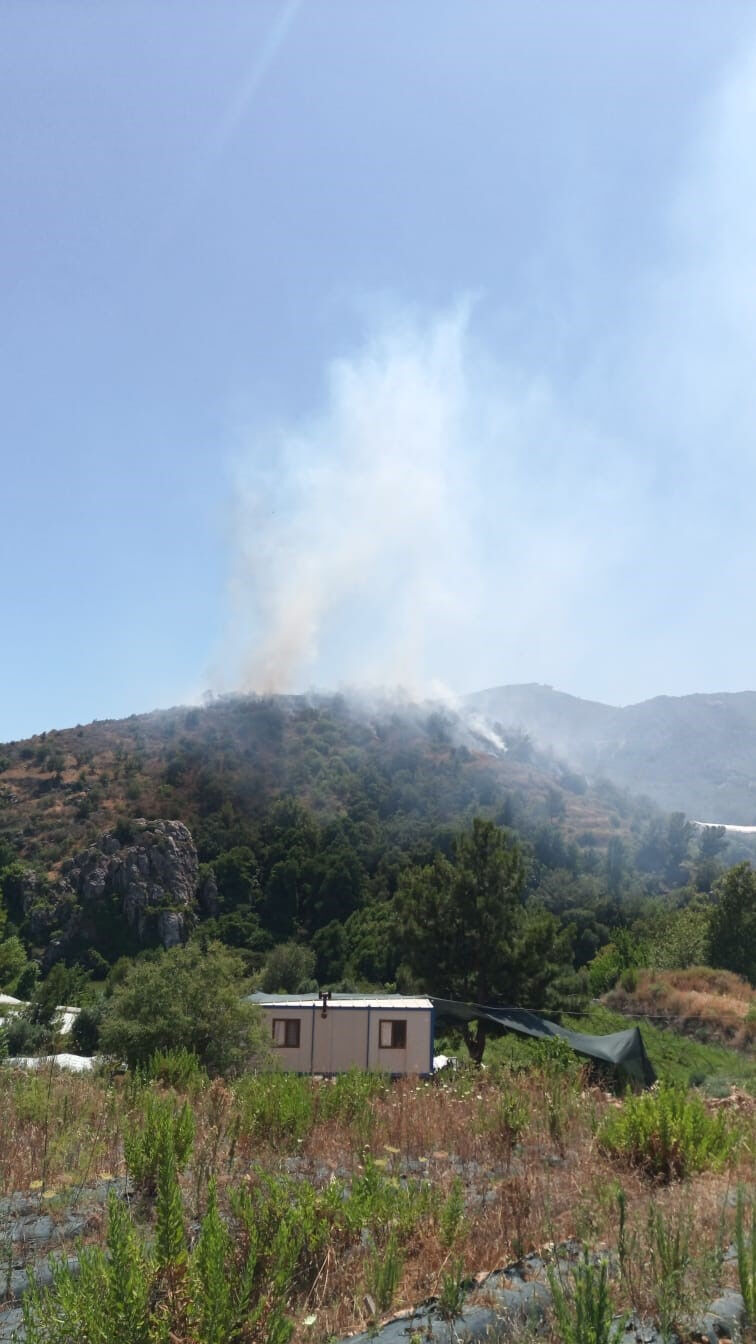 Mersin'in Anamur ilçesinde çıkan orman yangınında çalışmalar devam ediyor - 2. Resim