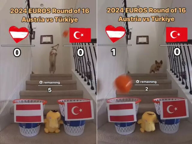 Şampiyonlar Ligi maçlarını doğru tahmin ettirmişti! Türkiye-Avusturalya maçı soruldu... - 1. Resim