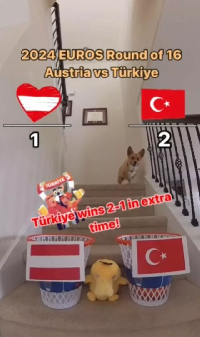 Şampiyonlar Ligi maçlarını doğru tahmin ettirmişti! Türkiye-Avusturalya maçı soruldu... - 2. Resim